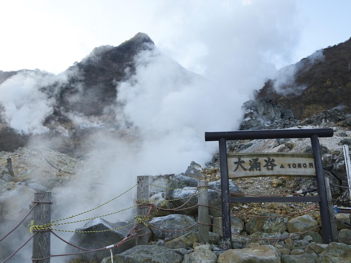 Tkp Lectore Hakone Gora Bagian luar foto