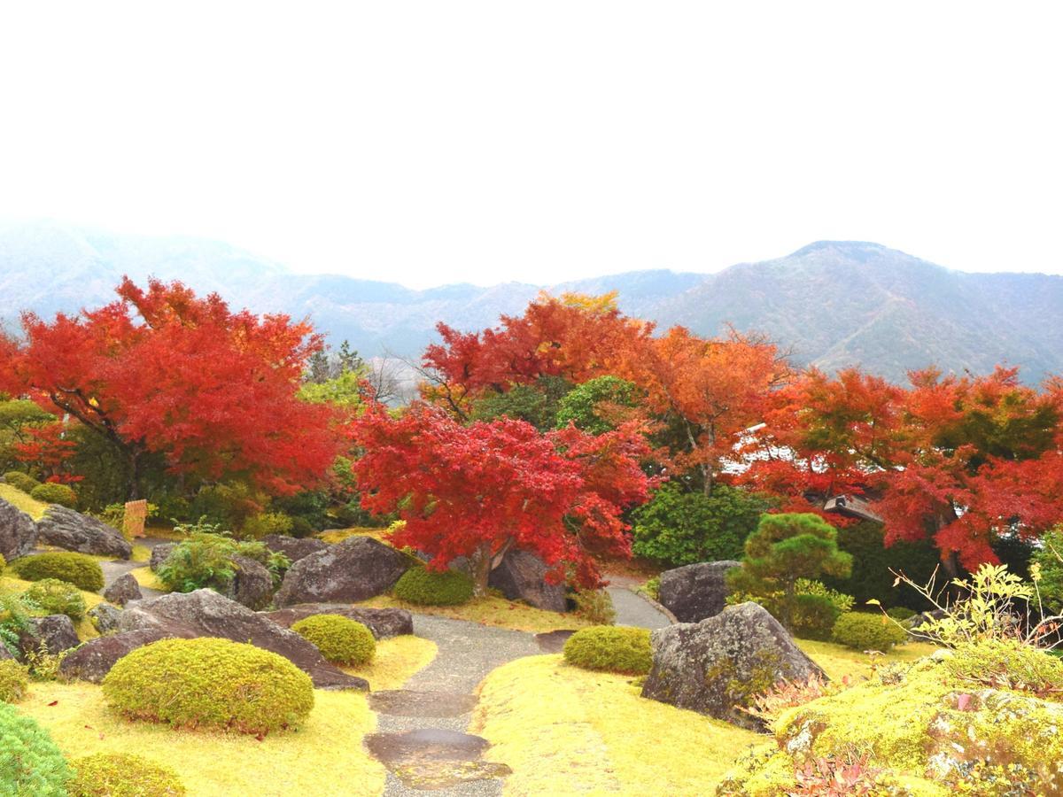 Tkp Lectore Hakone Gora Bagian luar foto