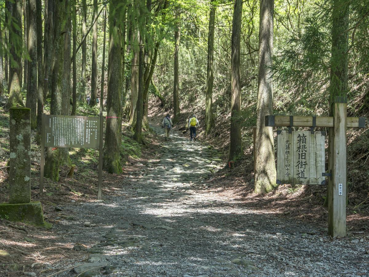 Tkp Lectore Hakone Gora Bagian luar foto